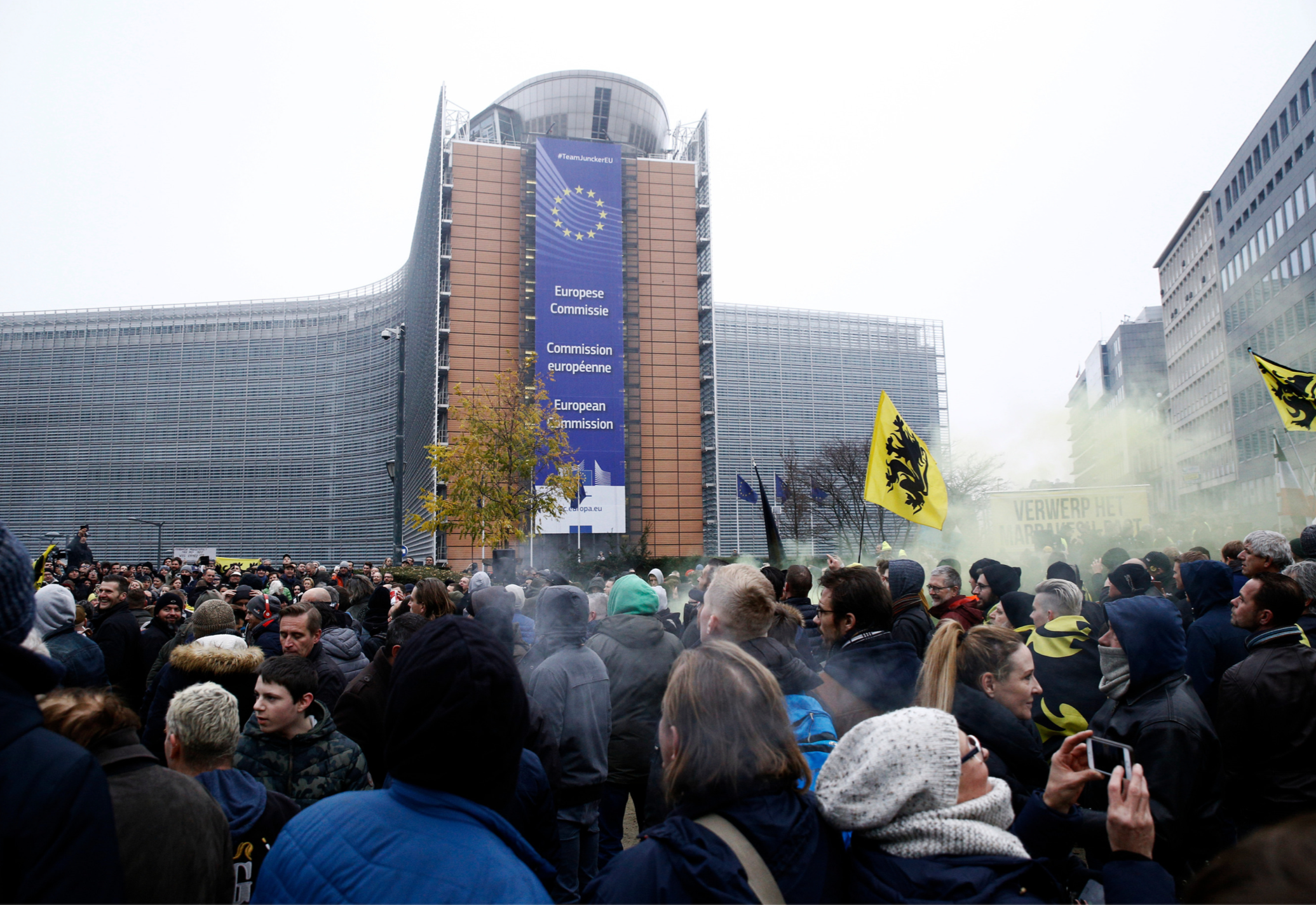 Different Shades of Black: The Anatomy of the Far Right in the  European Parliament