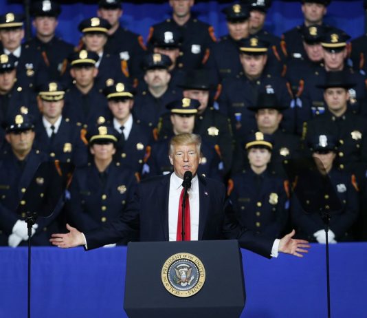 What to do in November? The Editors for CovertAction Magazine Weigh In