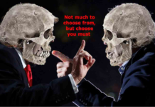 Not Just the Same Old Reasons to Hold Your Nose and Vote for Biden