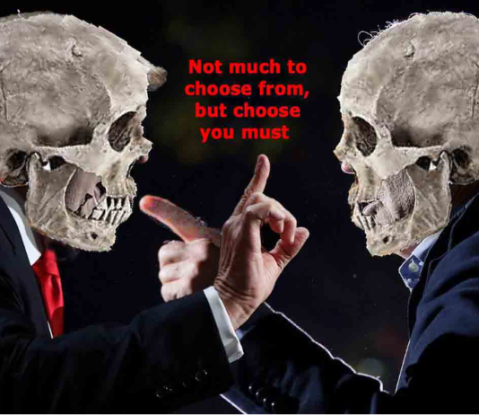 Not Just the Same Old Reasons to Hold Your Nose and Vote for Biden