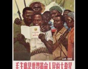 A New World Order? Africa and China