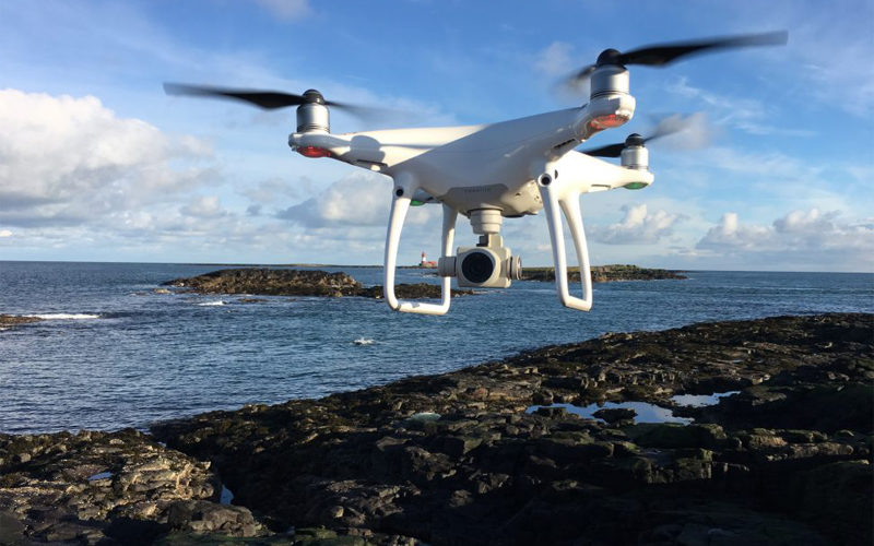 sealpupcountdrone