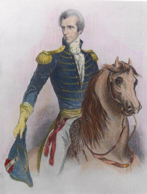 Florida Memory - Engraving of Governor Andrew Jackson on horseback | Seminole  wars, Andrew jackson, Early american