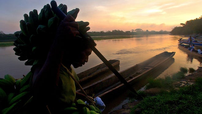 In this May 24, 2005, file photo, a Miskito Indian carries bananas on his head on the banks of the Coco river near the town of Waspan, Nicaragua, on the border with Honduras. The government of Honduras announced on Thursday, Sept. 12, 2013 that it has granted title to more than one million acres along Honduras' border with Nicaragua and the Caribbean coast to the Miskito Indian communities that inhabit the area.