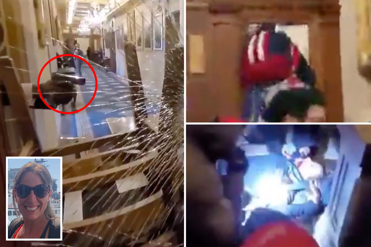 Ashli Babbitt killed at US Capitol – Horrifying video shows moment woman shot by cop as Trump supporters storm building