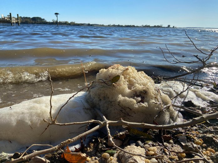 Gray-brown foam and rocks and shown with the Chesapeake bay creek behind