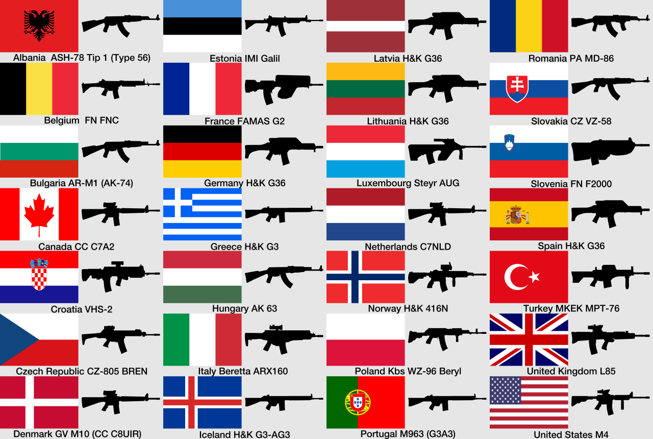 NATO Service Weapons by nation.