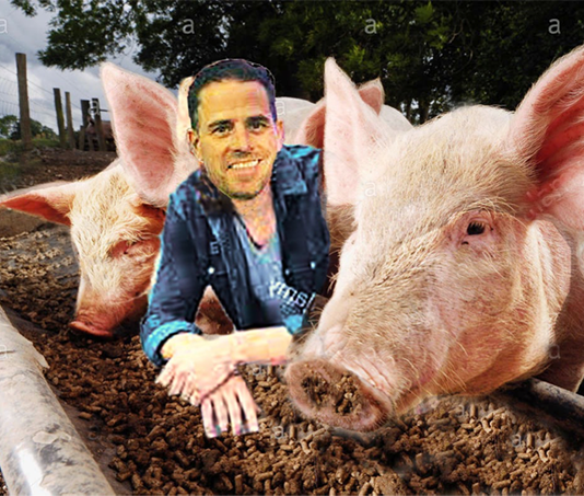 White House Grants Hunter Biden “A License to Swill”