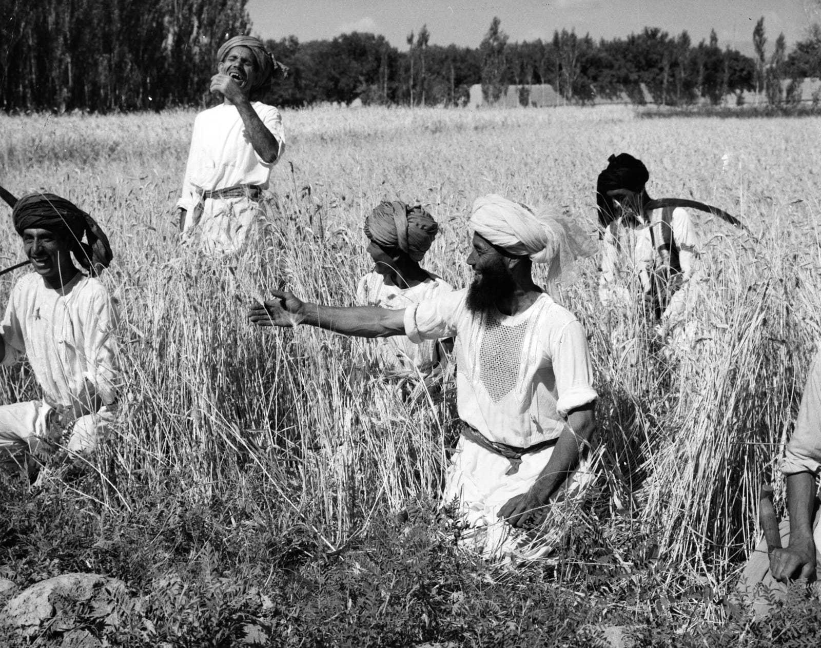 A group of women working in a field

Description automatically generated with low confidence