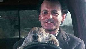 A picture containing mammal, person, indoor, rodent

Description automatically generated