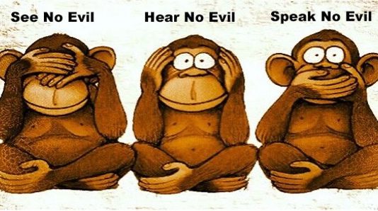 Dutch Socialist Condemns Her Party’s Shameful “Dumb Monkey” Response To The Syrian War—Sadly Echoed Not Only By Corporate Media But Also Left-Wing Media