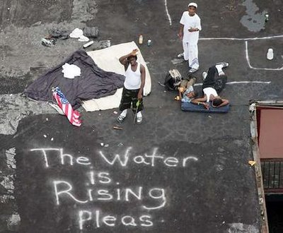 Zeitoun FEMA and Hurricane Katrina | GradeSaver