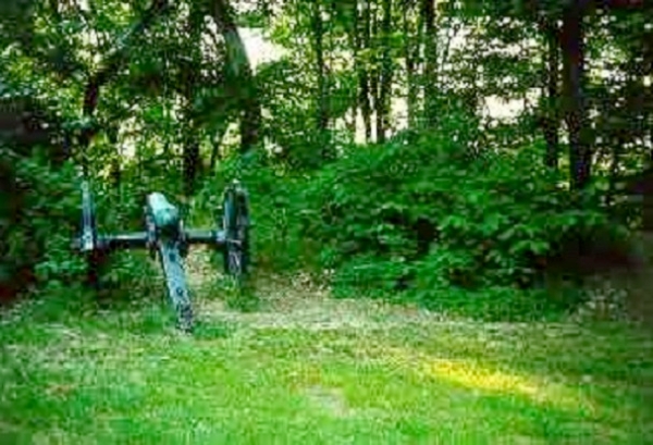 A picture containing grass, tree, outdoor, hydrant
Description automatically generated