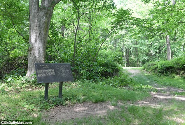 A picture containing tree, grass, outdoor, park
Description automatically generated
