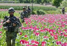 Was America’s Longest War for Opium, Oil and Propping up the Stock Market?