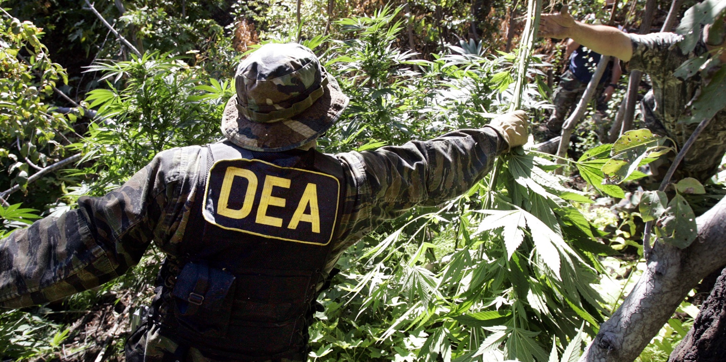 How the DEA Profits off the War on Drugs - ATTN: