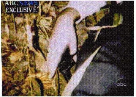 This famous picture was shown on every news network.