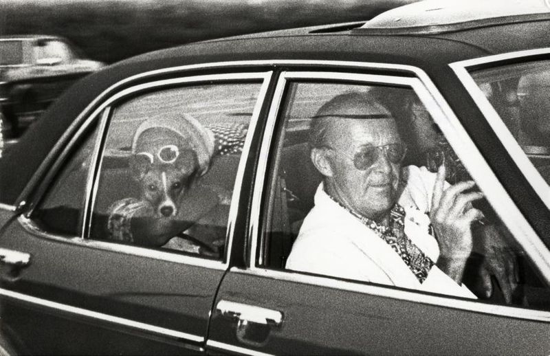 A person and a dog in a car

Description automatically generated with medium confidence