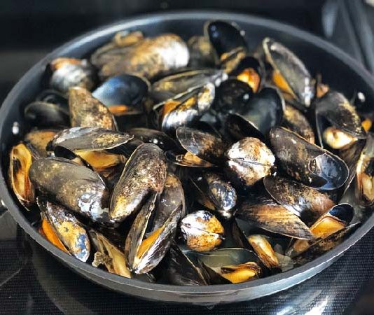 Former Naval Air Station Brunswick has Contaminated the Mussels in Maine