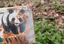 Is the Saintly World Wildlife Fund Really a Stalking Horse in the Global South Colluding with Transnational Corporate Interests?