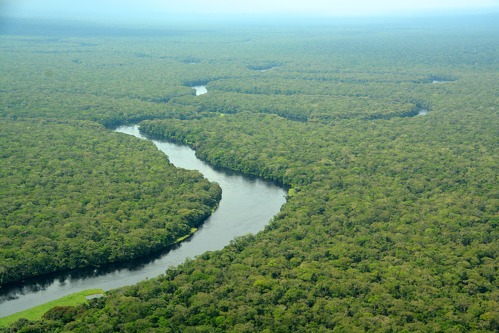 Salonga National Park | WWF