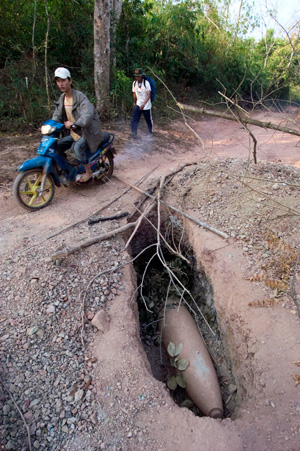 A picture containing ground, outdoor, tree, dirt

Description automatically generated