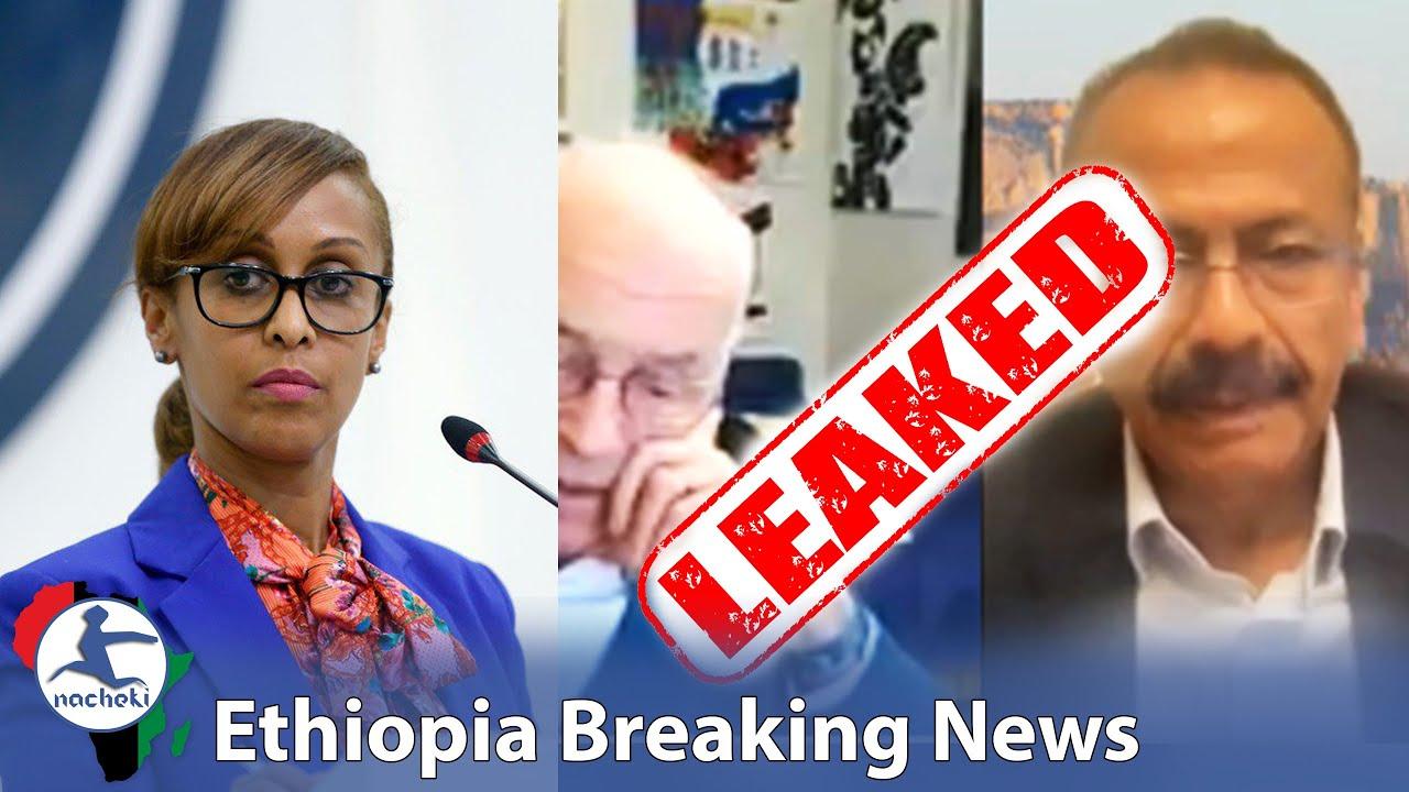 Office of the Prime Minister of Ethiopia Officially Reacts to Leaked Western Diplomat TPLF Video