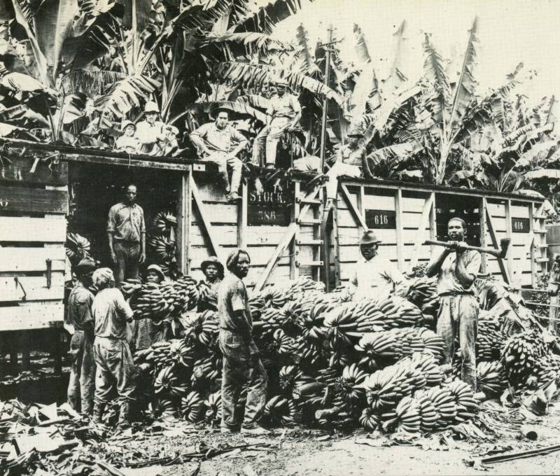 United Fruit Plantation
