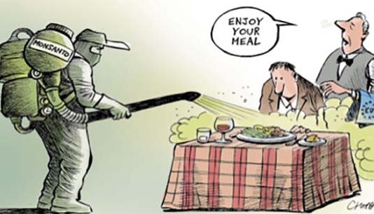 “The World’s Most Evil Company” May Lose a Few Court Fights—But Will Keep On Poisoning and Killing Millions of People with Its Carcinogenic Pesticide ‘Roundup’