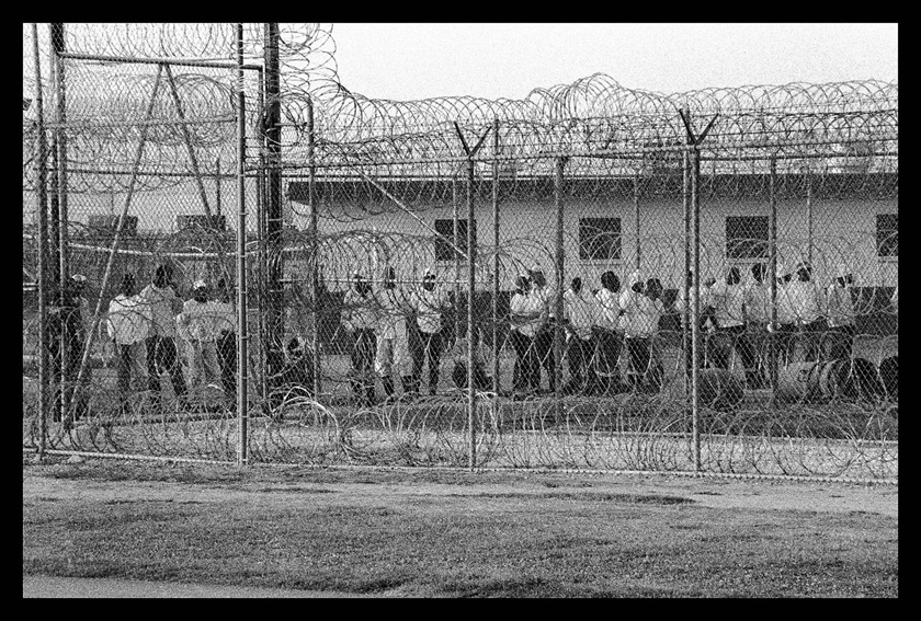 A group of people standing behind a fence

Description automatically generated with low confidence