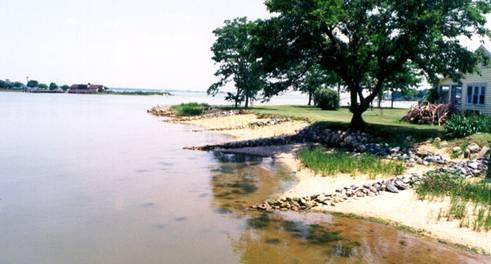 A picture containing water, outdoor, tree, river
Description automatically generated