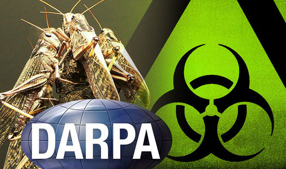 USA crop failure: Could DARPA Insect Allies save harvest or become  biological WEAPON? | Science | News | Express.co.uk