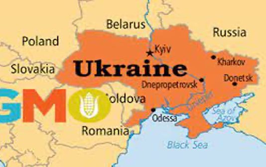 War Within the War: The Fight Over Land and Genetically Engineered Agriculture