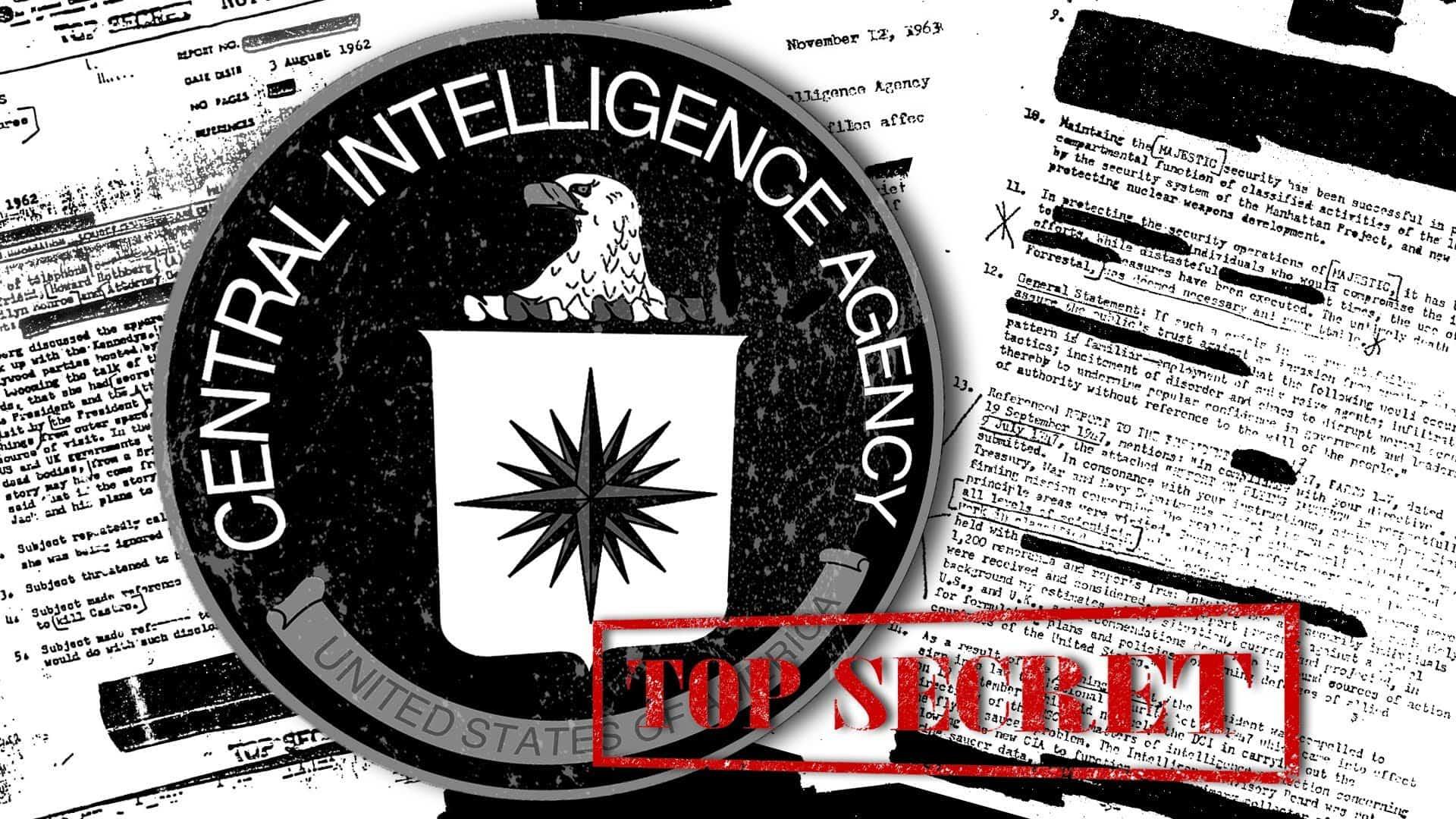 Operation Mockingbird | Operation, Outcome, Facts & Summary Notes