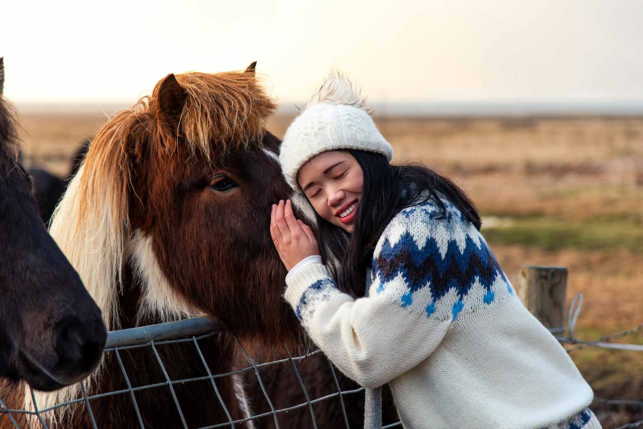 Meeting the Icelandic Pony
