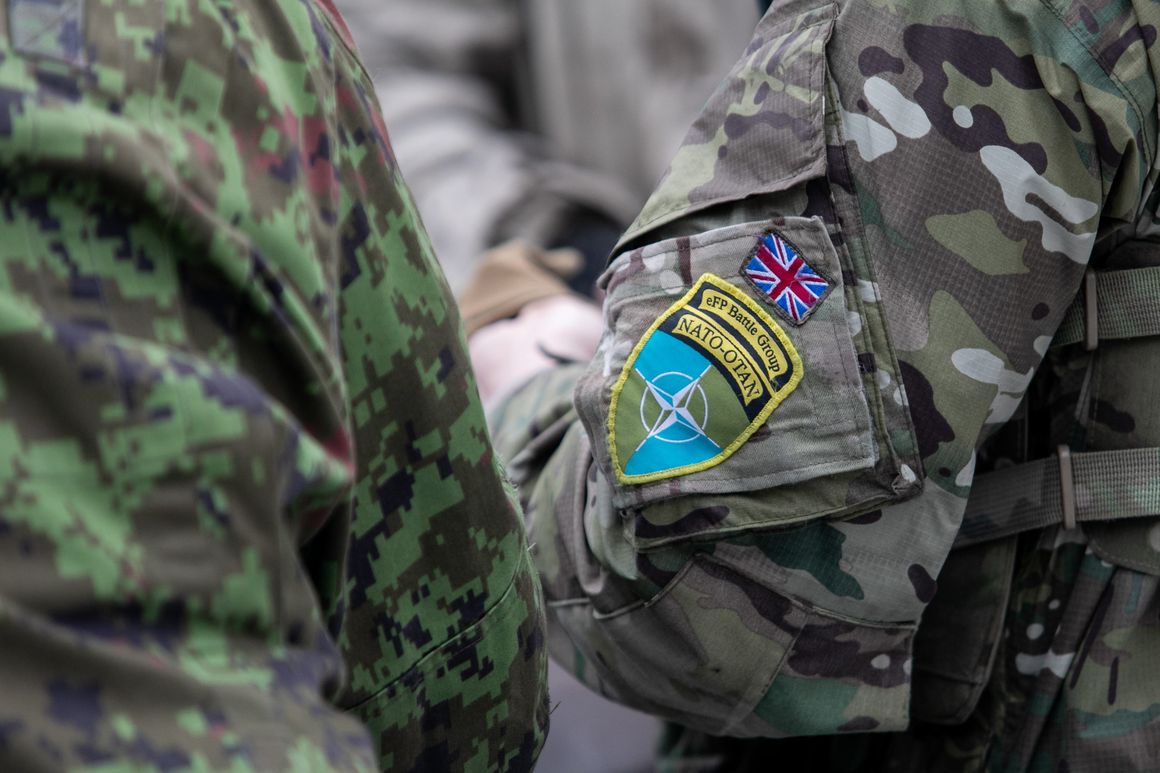 Training Of Nato Ally Estonian Defence Forces