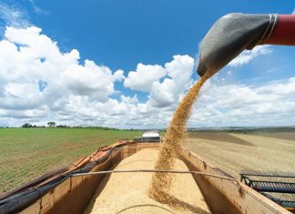 Sanctions on Russia Threaten Fertilizer Production and Could Lead to Famine