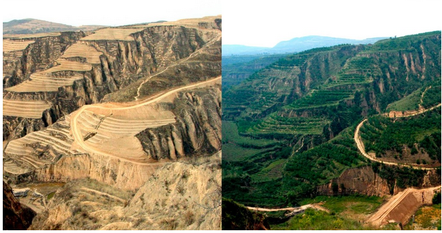 C:\Users\Felix Abt\Desktop\Rubbish\Loess Plateau restoration.png