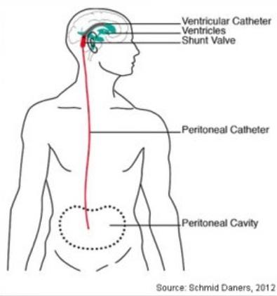 Diagram

Description automatically generated
