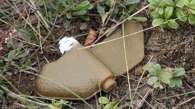 Fact check: Is Russia using butterfly mines in Ukraine? | World | Breaking  news and perspectives from around the globe | DW | 15.03.2022
