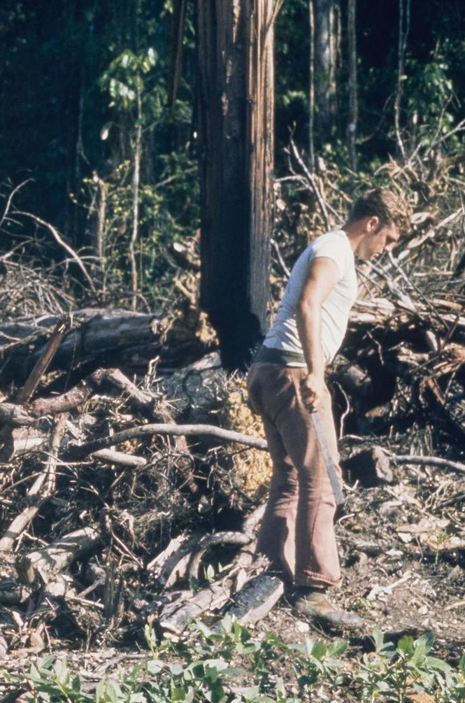 A person standing in the woods
Description automatically generated with medium confidence