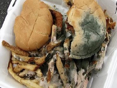 A plate of food

Description automatically generated with low confidence