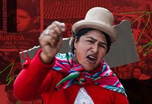 CovertAction Bulletin: Protesters Massacred in Peru After Far-Right Legislative Coup