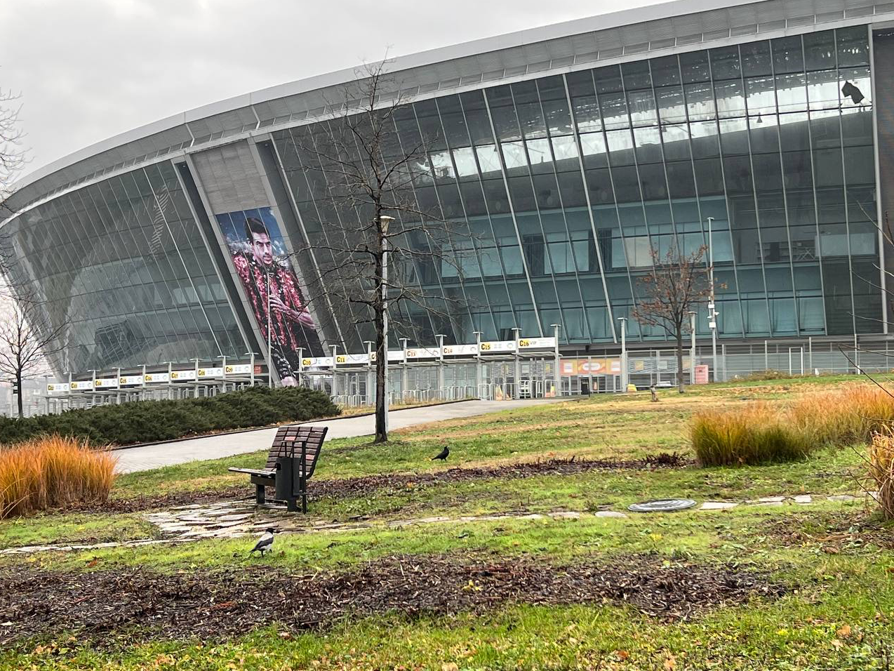 A picture containing grass, outdoor
Description automatically generated