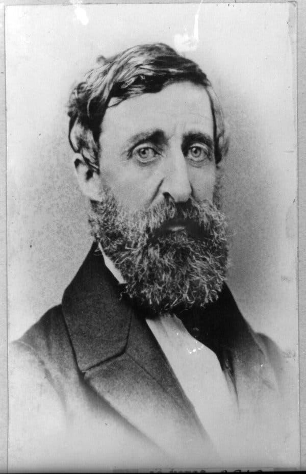 Lessons in Constructive Solitude From Thoreau - The New York Times