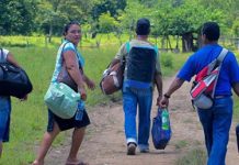 Nicaraguan Immigration Down Despite U.S. Efforts to Encourage It
