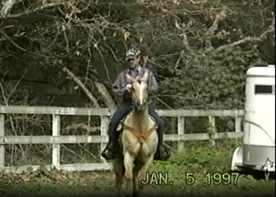 A person riding a horse

Description automatically generated