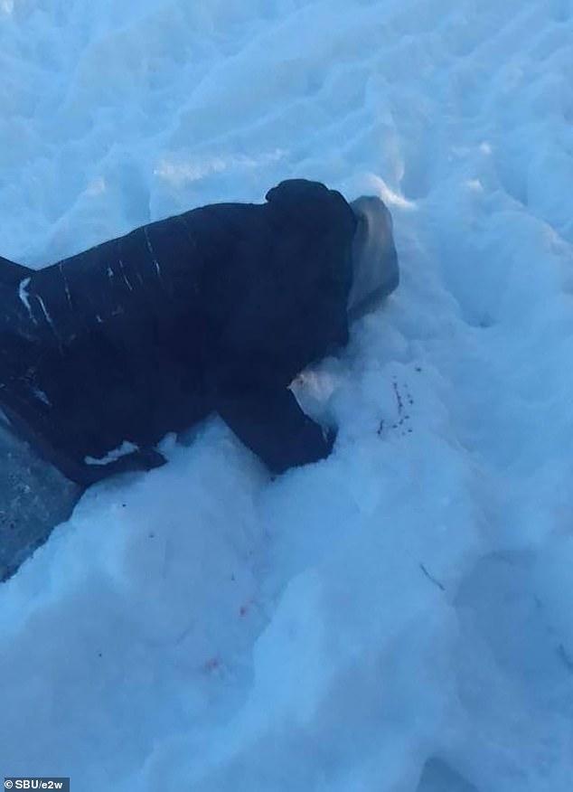 Images from the scene show Kyva's body lying in the snow - and the weapons used to 'liquidate' him were discovered hanging on a tree nearby