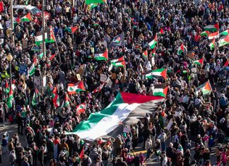 CovertAction Bulletin – On the Ground: 400,000 March for Gaza in DC