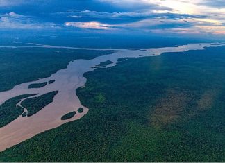 Essequibo Means No Escape For Brazil In The Event Of Conflict…And More